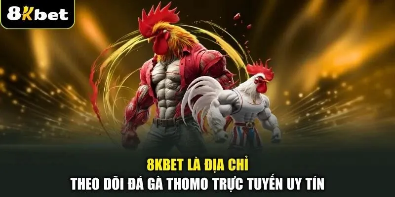 Các Hình Thức Thi Đấu Đá Gà Thomo Phổ Biến