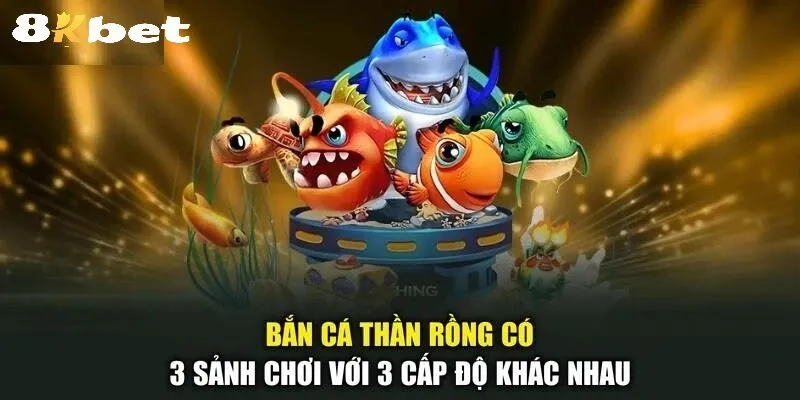 Chiến Thuật Săn Cá Rồng Cực Đỉnh Từ Cao Thủ