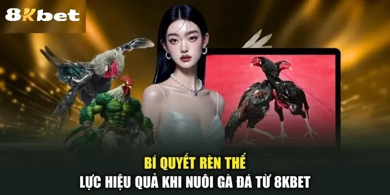 Đặc Điểm Nhận Diện Và Sức Mạnh Của Đá Gà Shamo 8kbet
