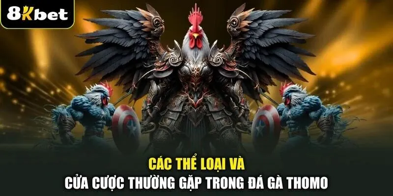 Bí Quyết Phân Tích Và Soi Kèo Đá Gà Thomo Chuẩn Xác