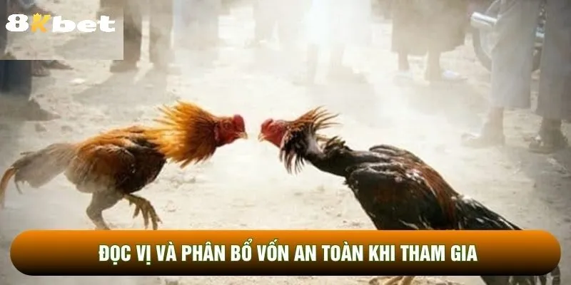 Đá Gà Cựa Sắt 8kbet Là Gì?