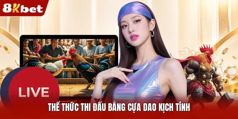 Bảng kèo rõ ràng và tỷ lệ cược hấp dẫn