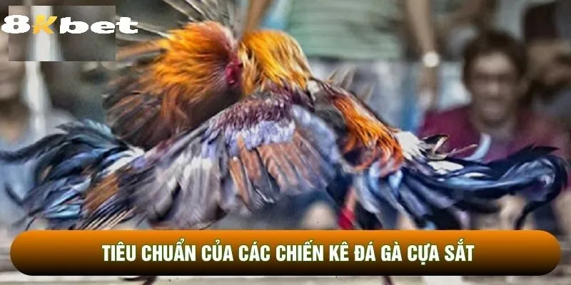 Kinh Nghiệm Quan Sát Và Phân Tích Chiến Kê Chuẩn Xác