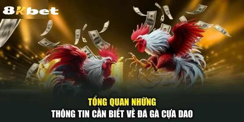 Quản Lý Vốn Và Tâm Lý Đặt Cược An Toàn